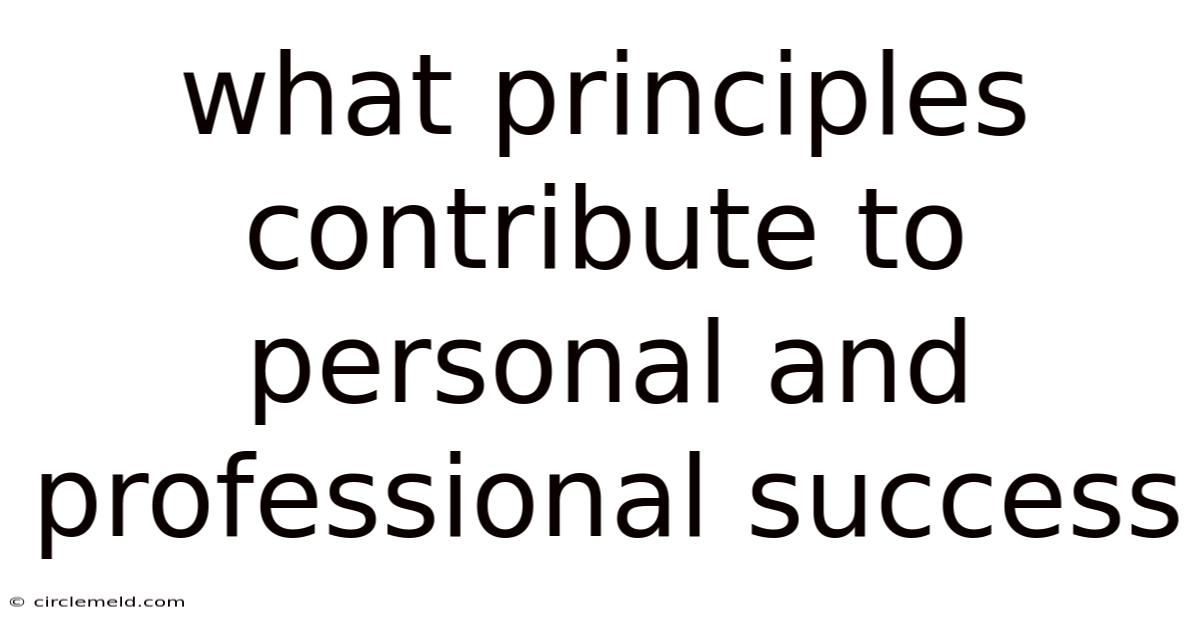 What Principles Contribute To Personal And Professional Success