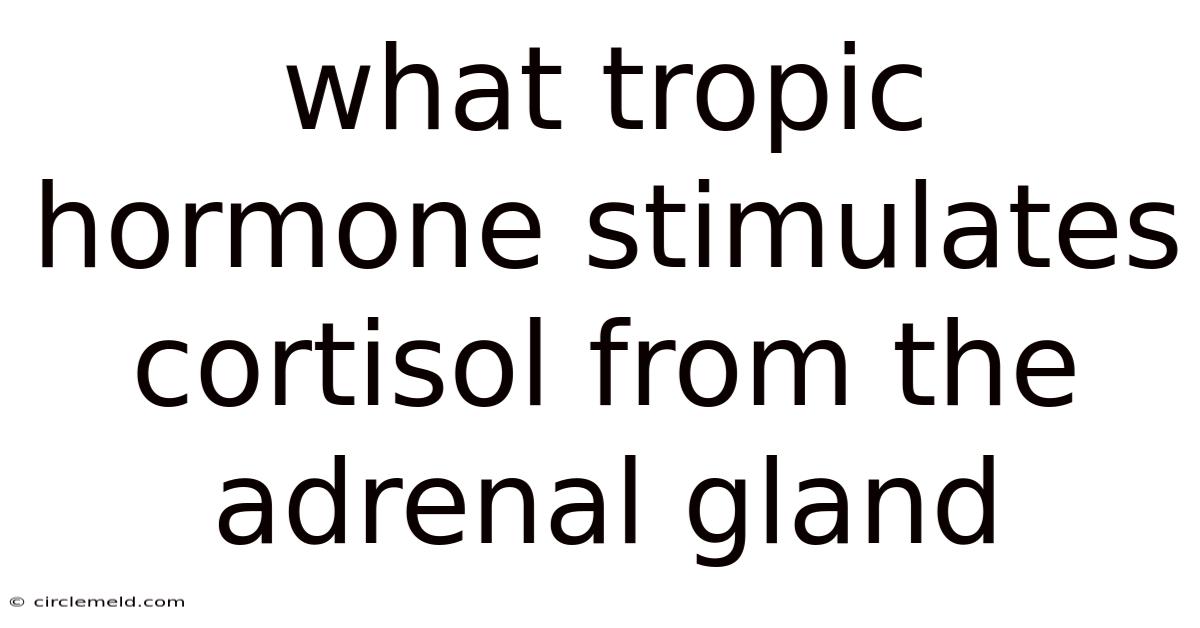 What Tropic Hormone Stimulates Cortisol From The Adrenal Gland