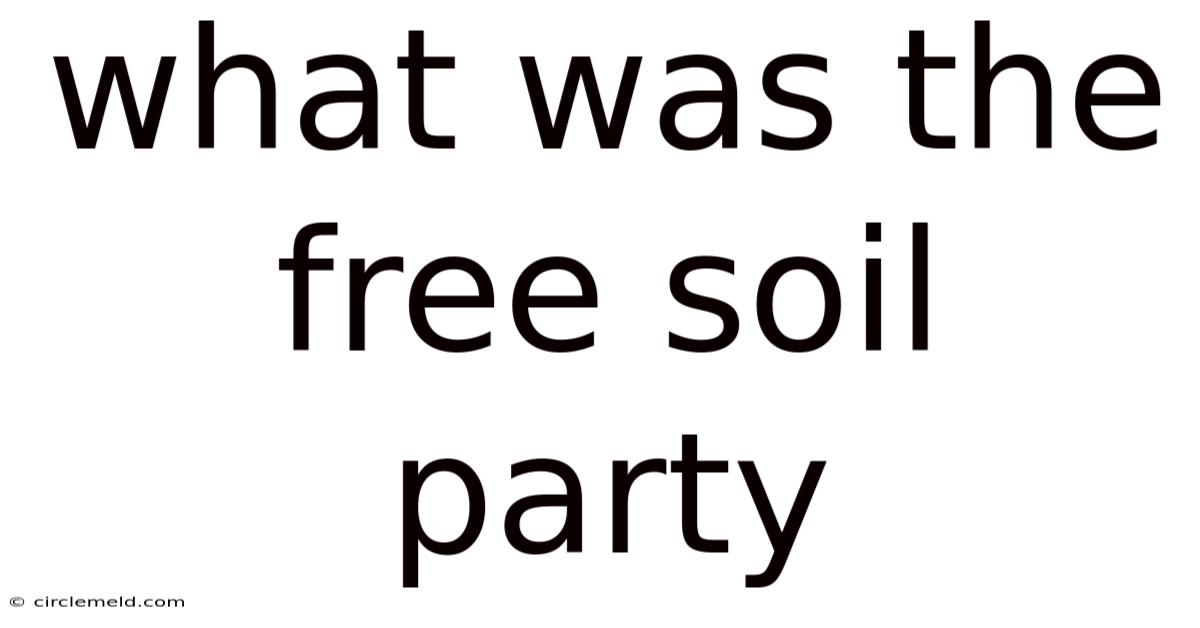 What Was The Free Soil Party