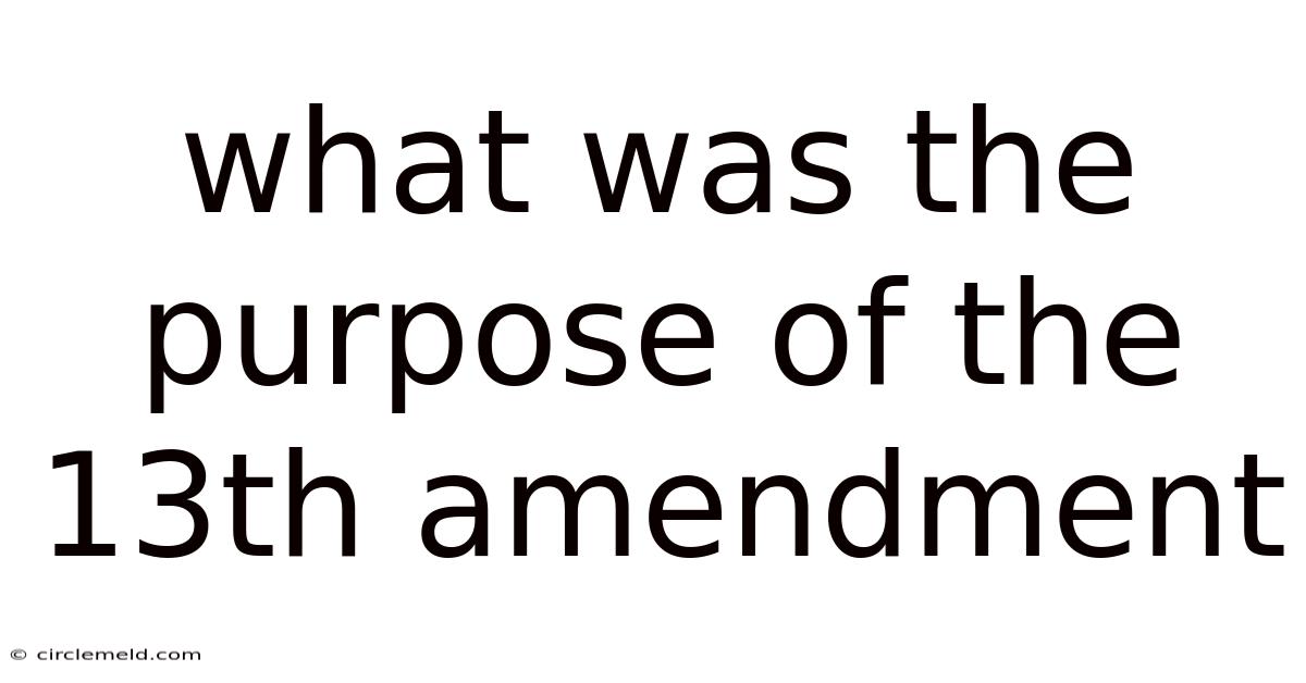 What Was The Purpose Of The 13th Amendment