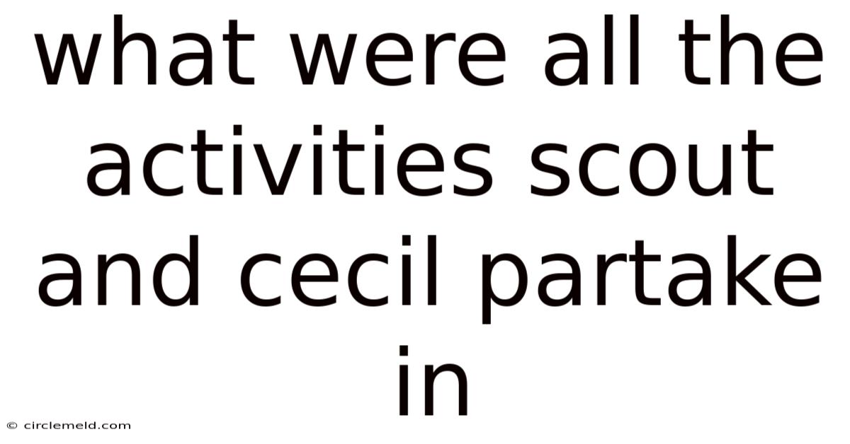 What Were All The Activities Scout And Cecil Partake In