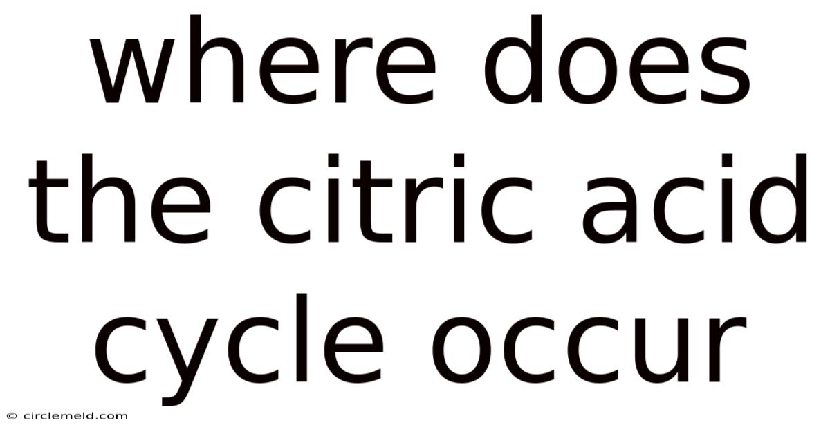 Where Does The Citric Acid Cycle Occur