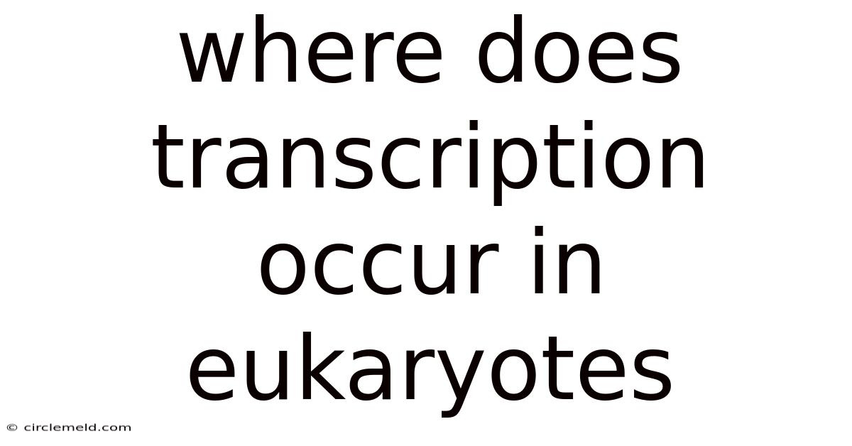 Where Does Transcription Occur In Eukaryotes