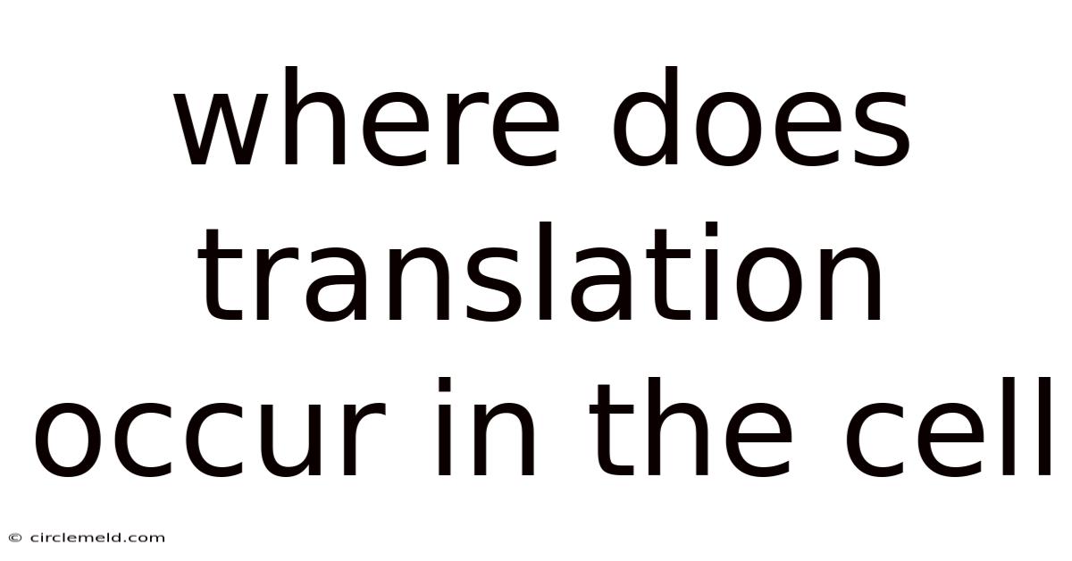 Where Does Translation Occur In The Cell