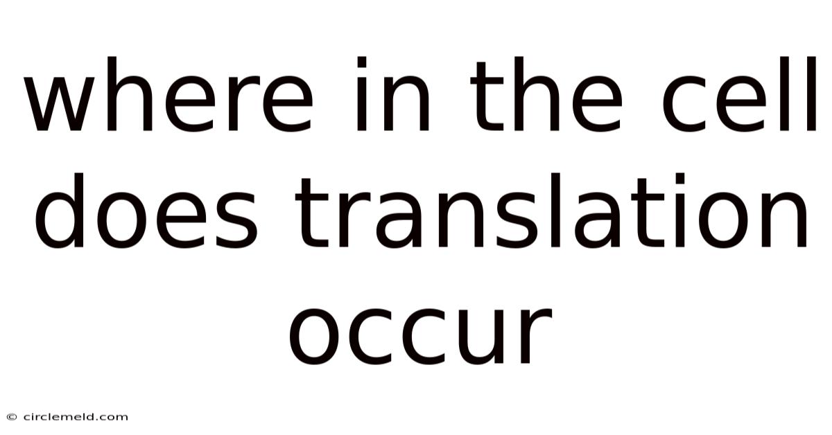 Where In The Cell Does Translation Occur