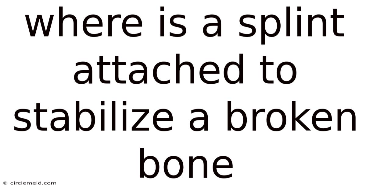 Where Is A Splint Attached To Stabilize A Broken Bone