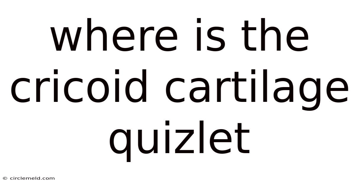 Where Is The Cricoid Cartilage Quizlet