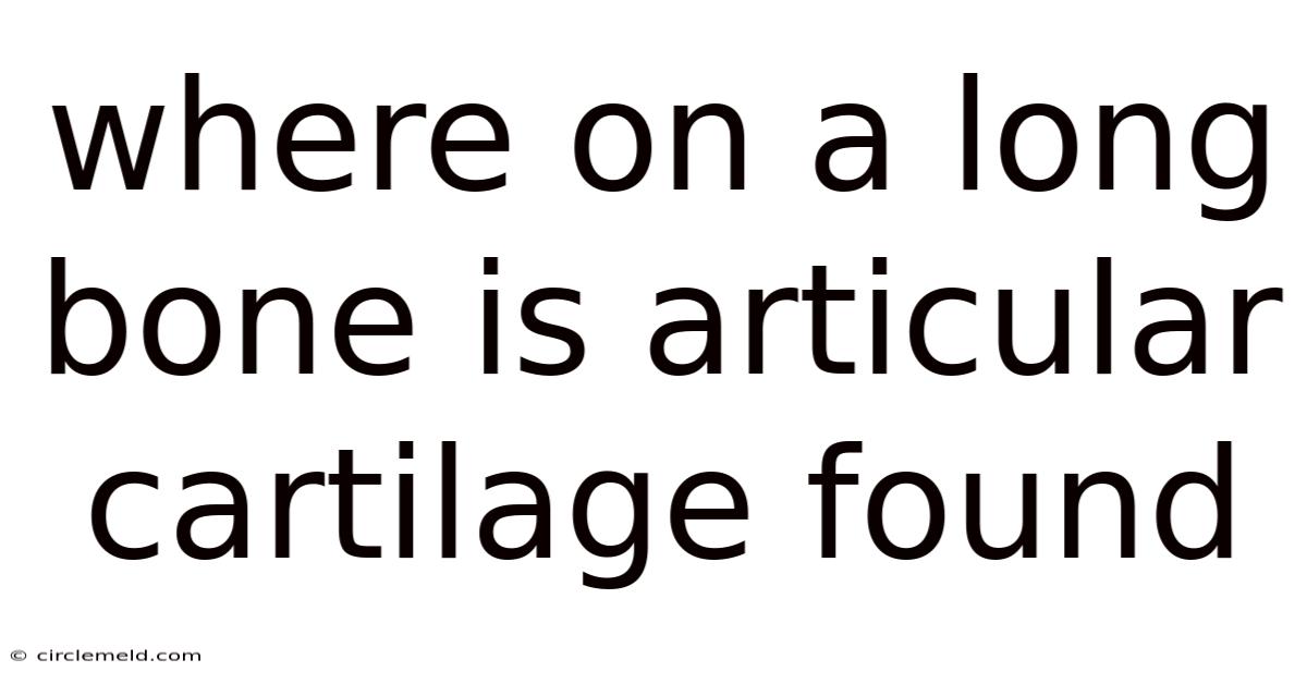 Where On A Long Bone Is Articular Cartilage Found