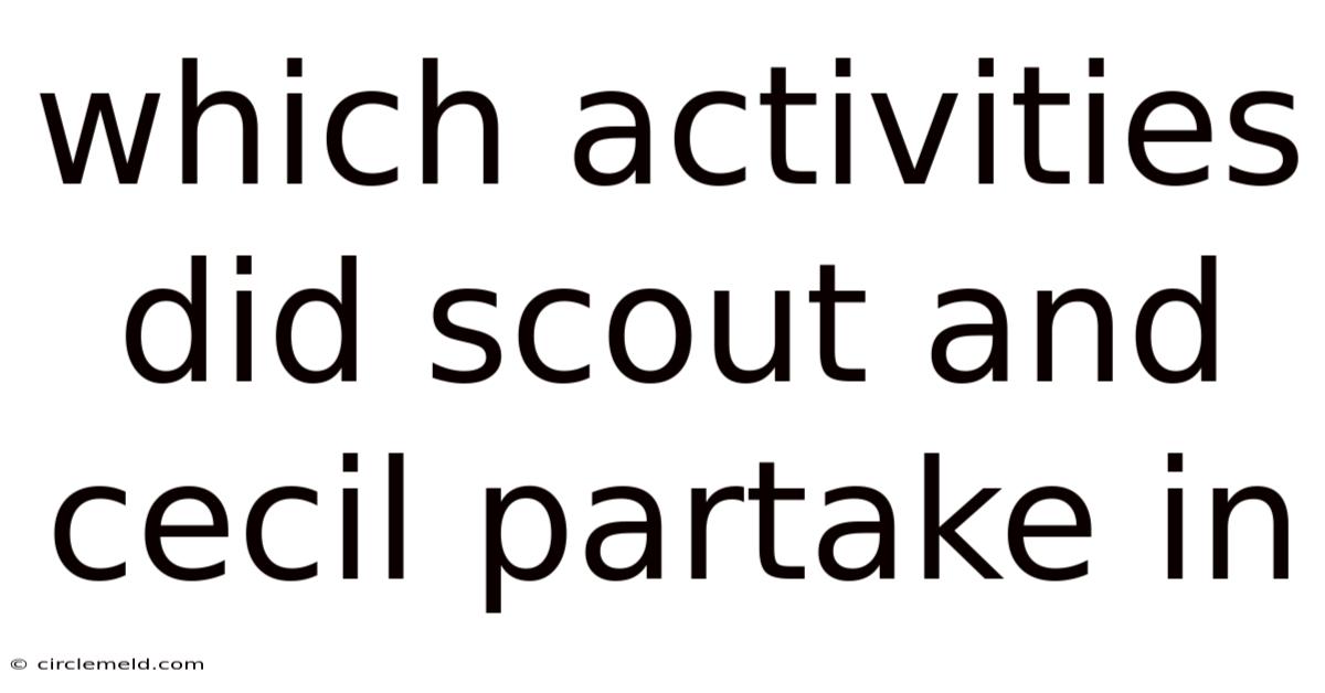 Which Activities Did Scout And Cecil Partake In