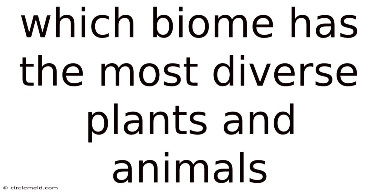 Which Biome Has The Most Diverse Plants And Animals