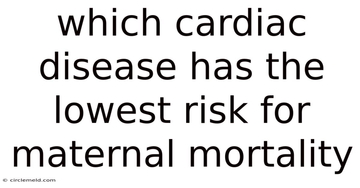 Which Cardiac Disease Has The Lowest Risk For Maternal Mortality