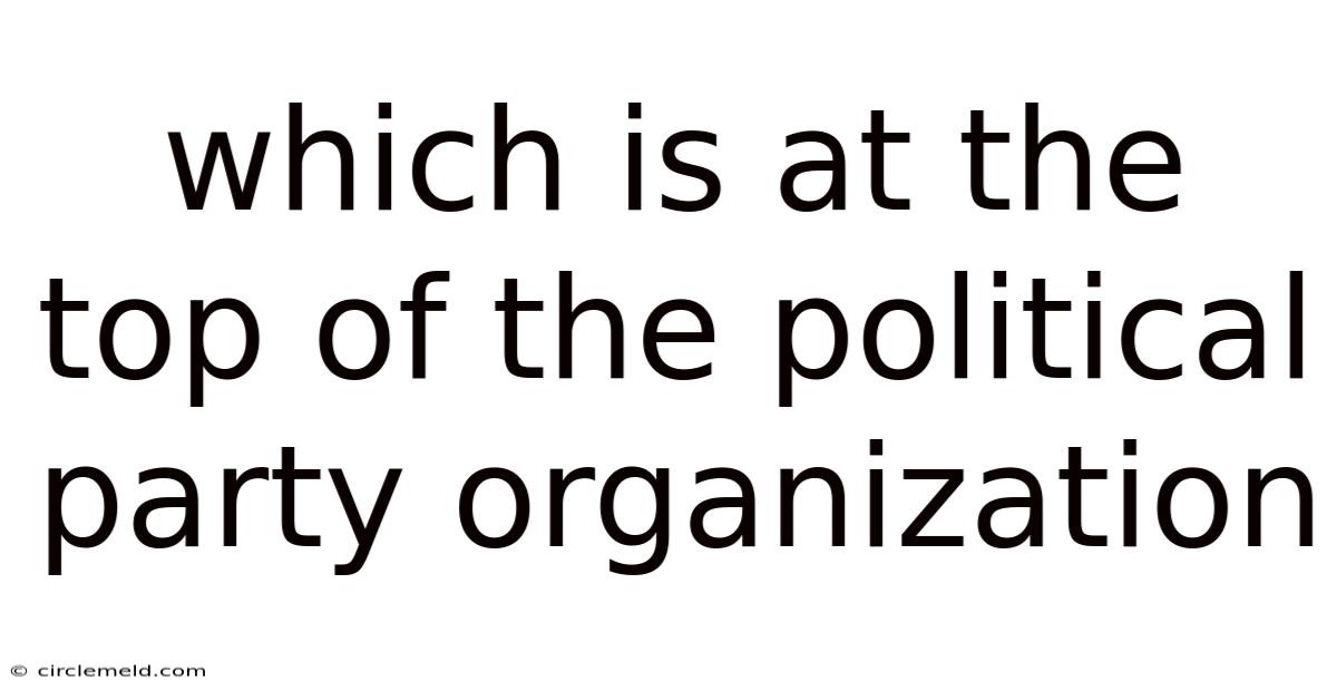 Which Is At The Top Of The Political Party Organization