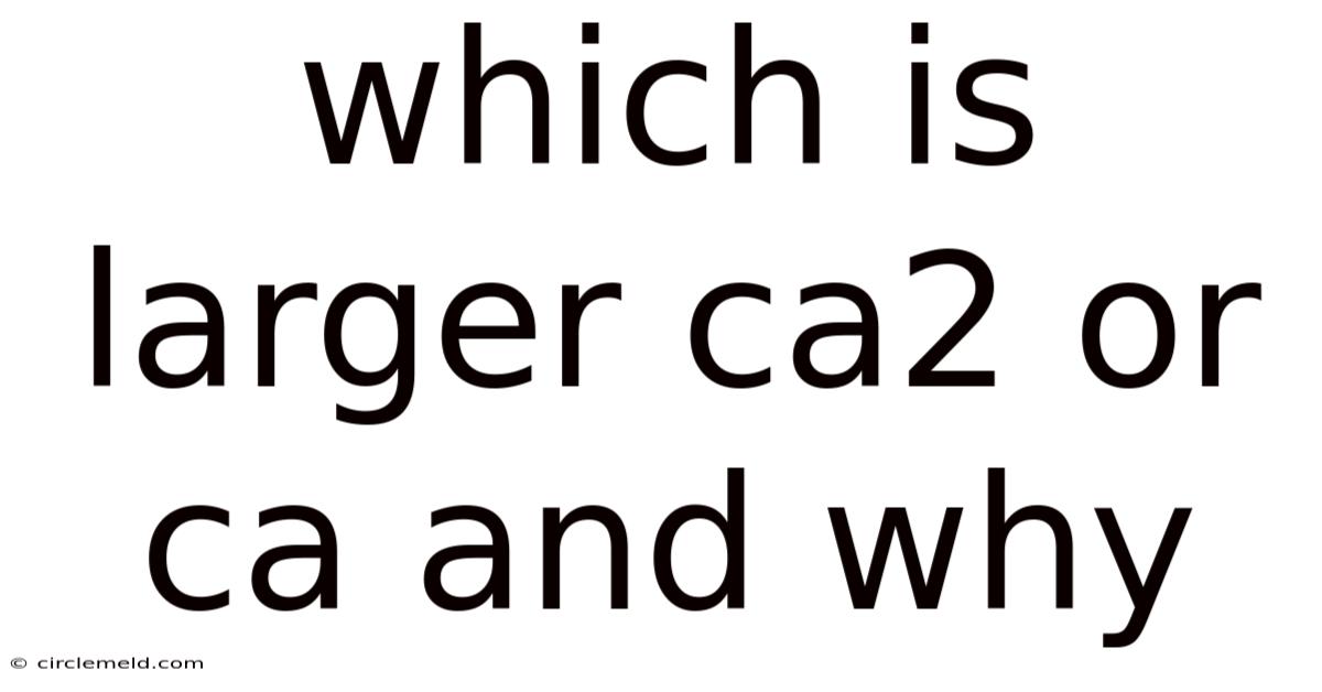 Which Is Larger Ca2 Or Ca And Why