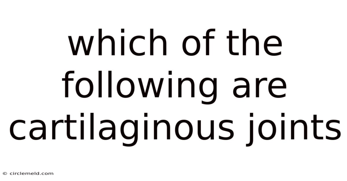 Which Of The Following Are Cartilaginous Joints