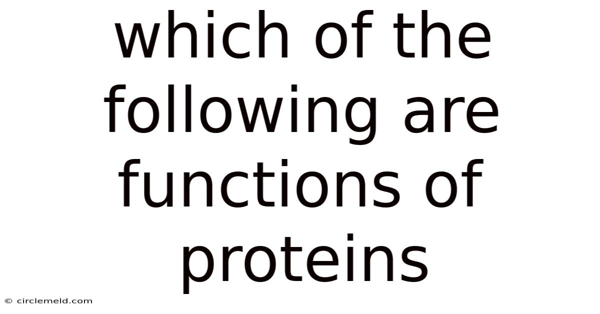 Which Of The Following Are Functions Of Proteins