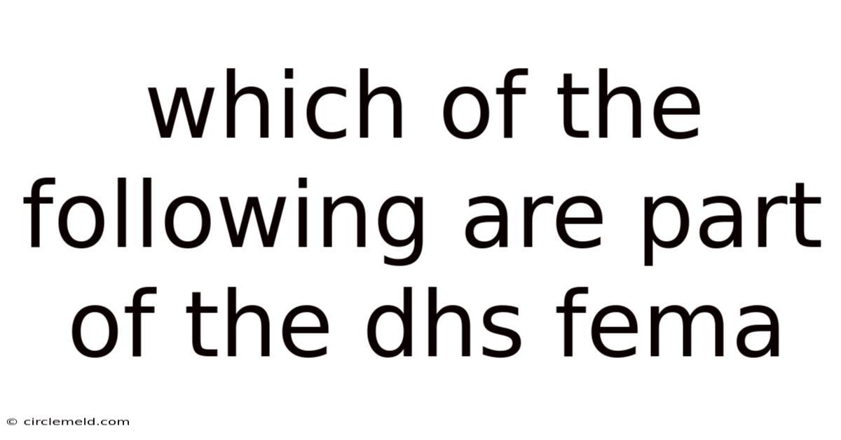Which Of The Following Are Part Of The Dhs Fema
