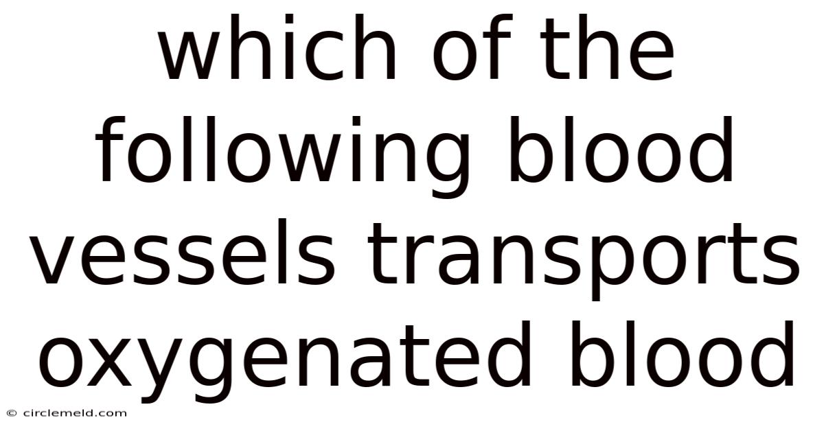Which Of The Following Blood Vessels Transports Oxygenated Blood