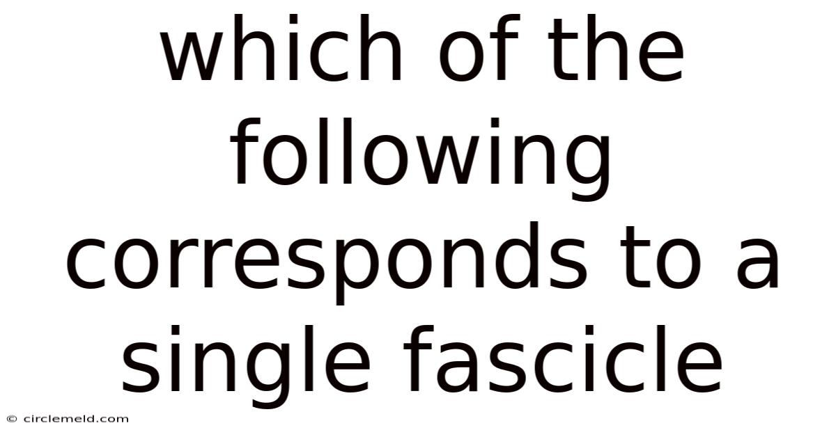 Which Of The Following Corresponds To A Single Fascicle