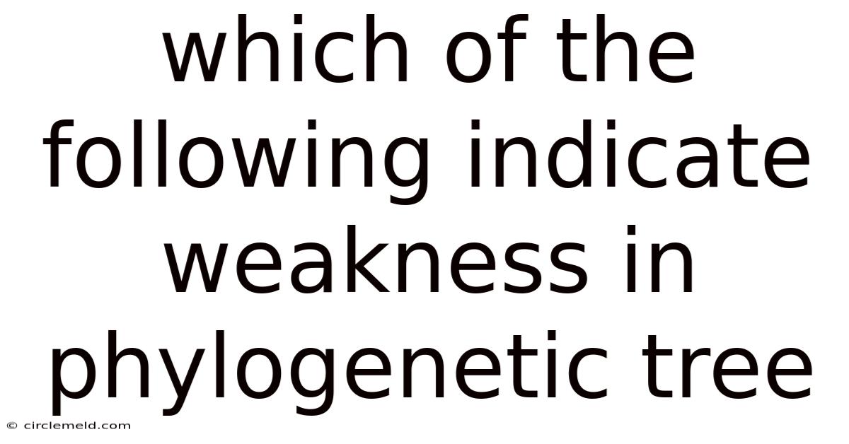 Which Of The Following Indicate Weakness In Phylogenetic Tree