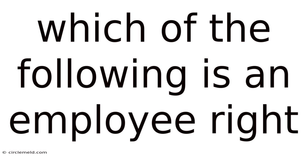Which Of The Following Is An Employee Right
