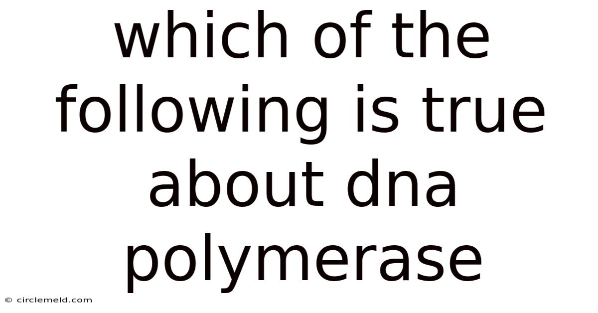 Which Of The Following Is True About Dna Polymerase