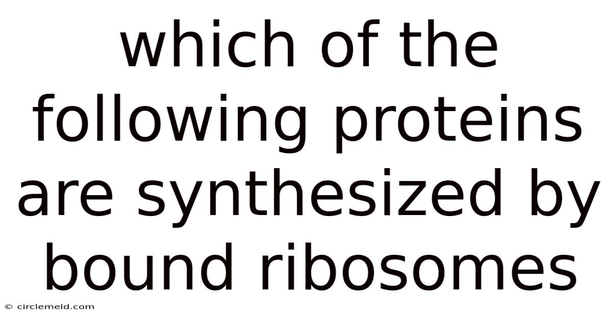 Which Of The Following Proteins Are Synthesized By Bound Ribosomes