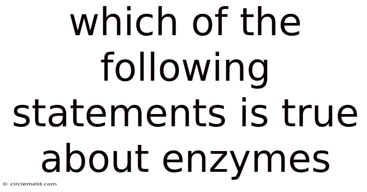 Which Of The Following Statements Is True About Enzymes