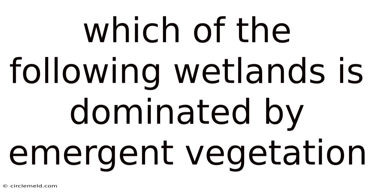 Which Of The Following Wetlands Is Dominated By Emergent Vegetation