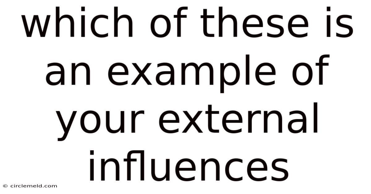 Which Of These Is An Example Of Your External Influences