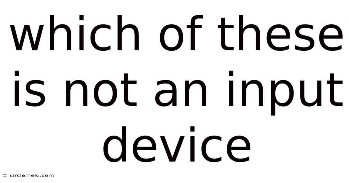 Which Of These Is Not An Input Device