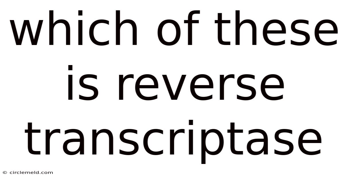 Which Of These Is Reverse Transcriptase
