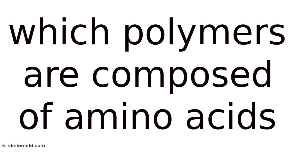 Which Polymers Are Composed Of Amino Acids