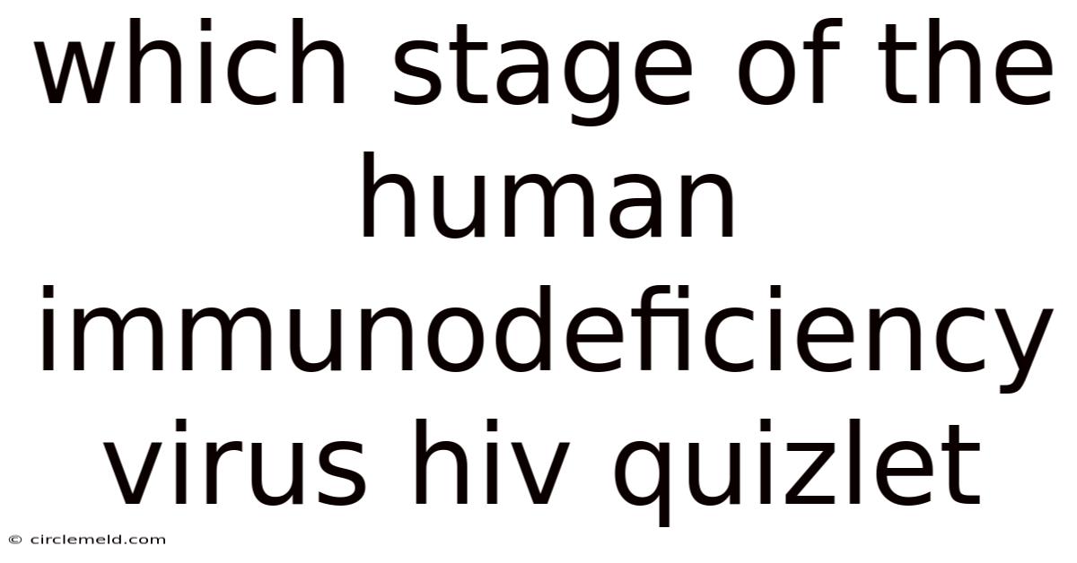 Which Stage Of The Human Immunodeficiency Virus Hiv Quizlet
