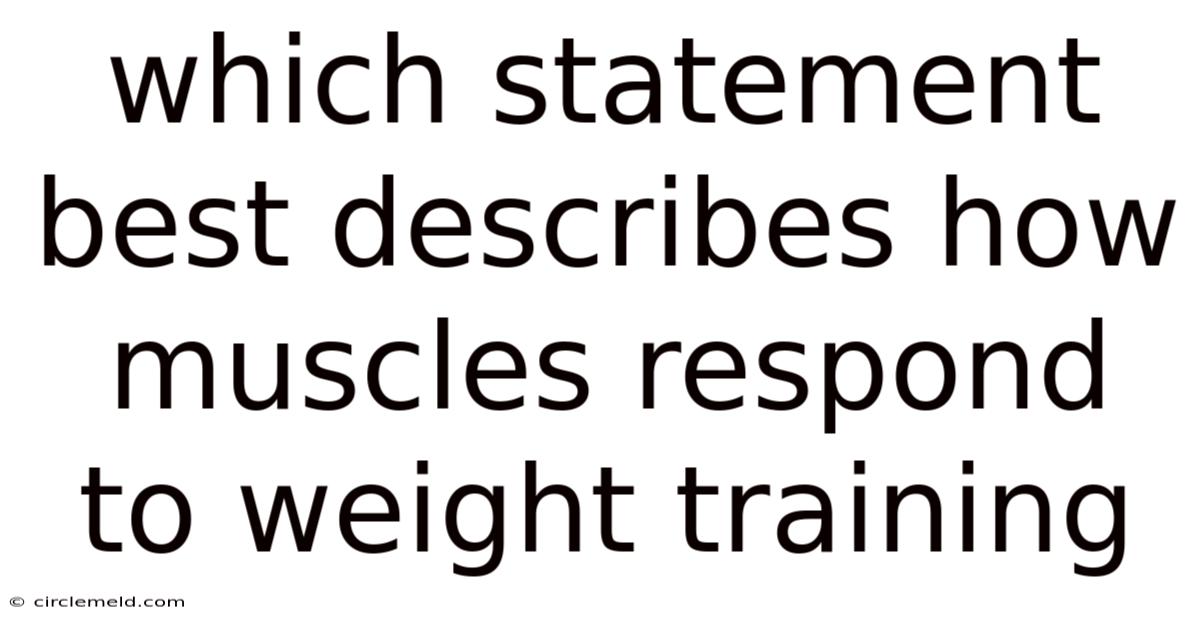 Which Statement Best Describes How Muscles Respond To Weight Training