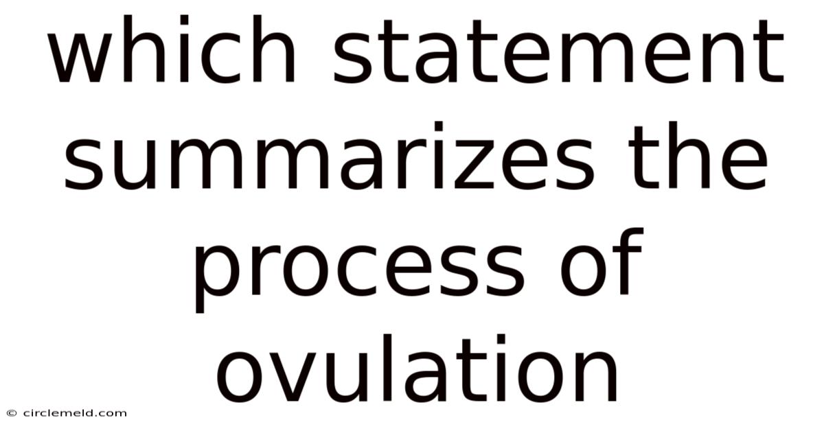 Which Statement Summarizes The Process Of Ovulation