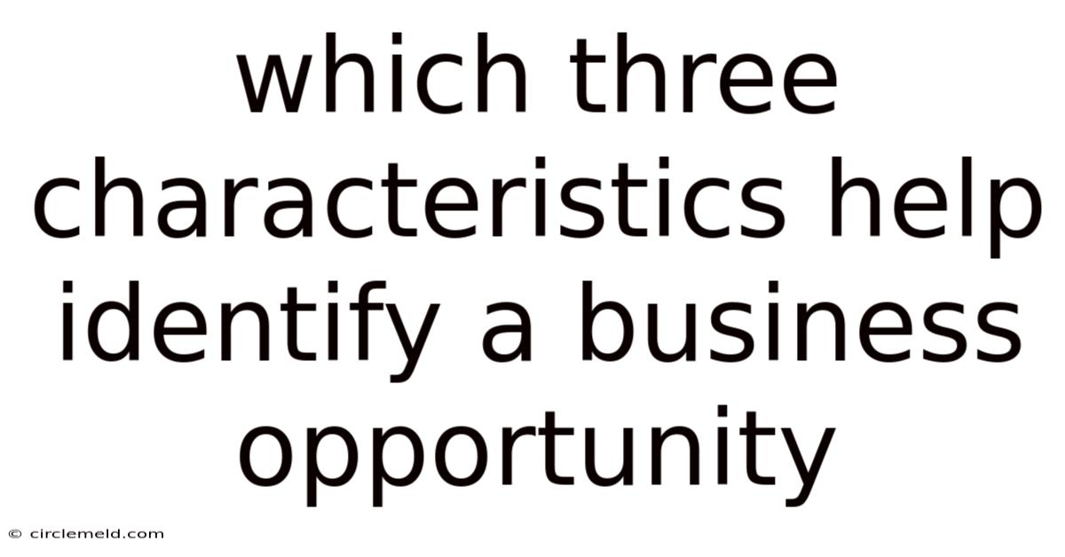 Which Three Characteristics Help Identify A Business Opportunity