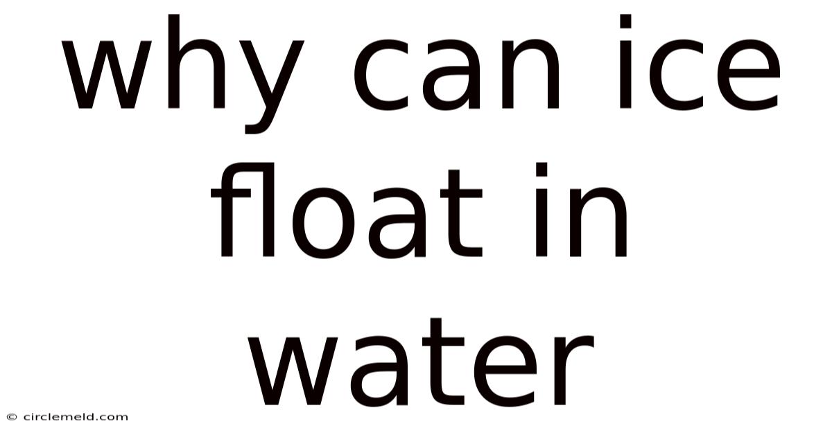Why Can Ice Float In Water