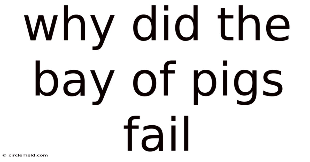 Why Did The Bay Of Pigs Fail