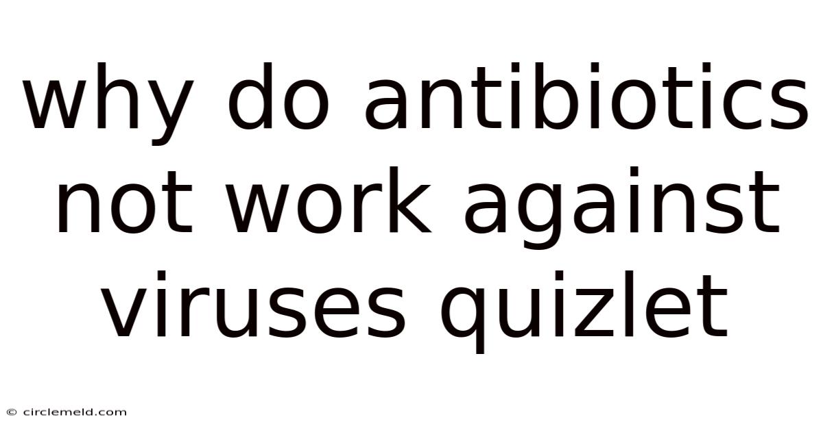 Why Do Antibiotics Not Work Against Viruses Quizlet